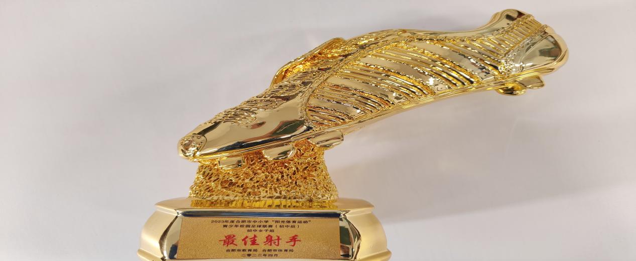 合肥足球运动员_合肥市足球冠军是谁_合肥足球队